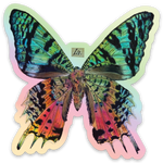 Holographic Sunset Moth Sticker